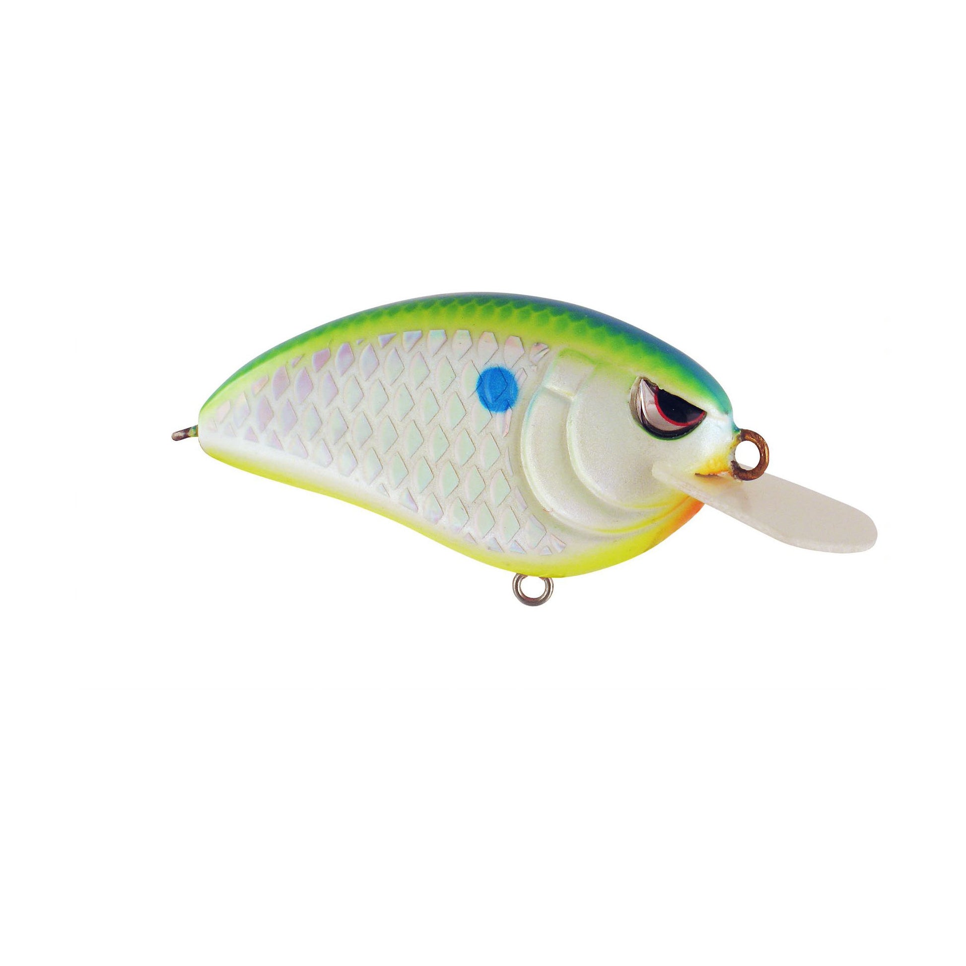 CITRUS SHAD