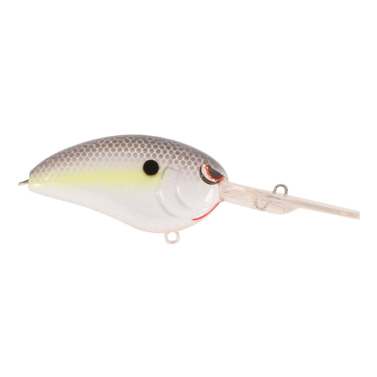 NASTY SHAD