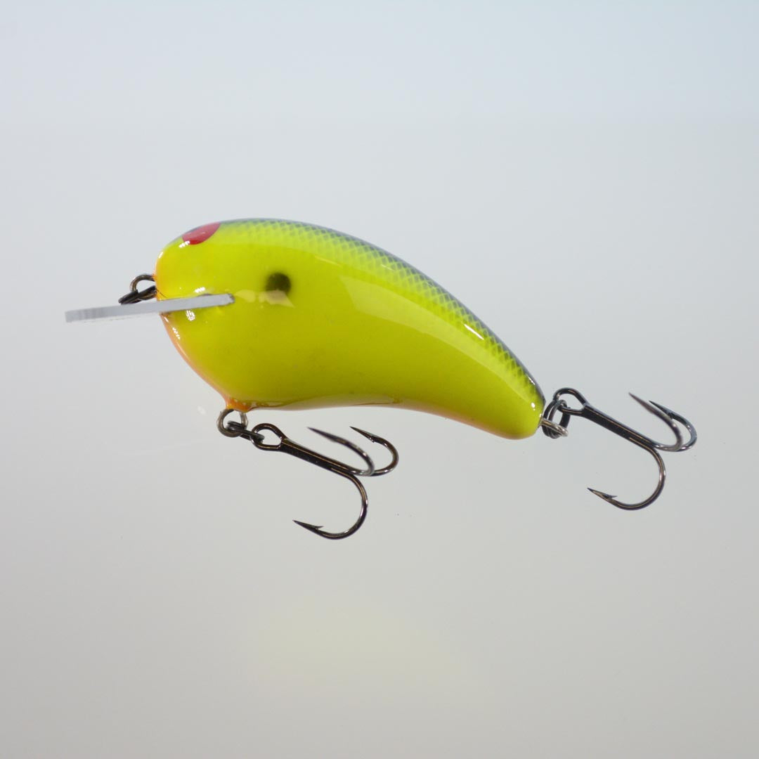 Chartreuse Black Back