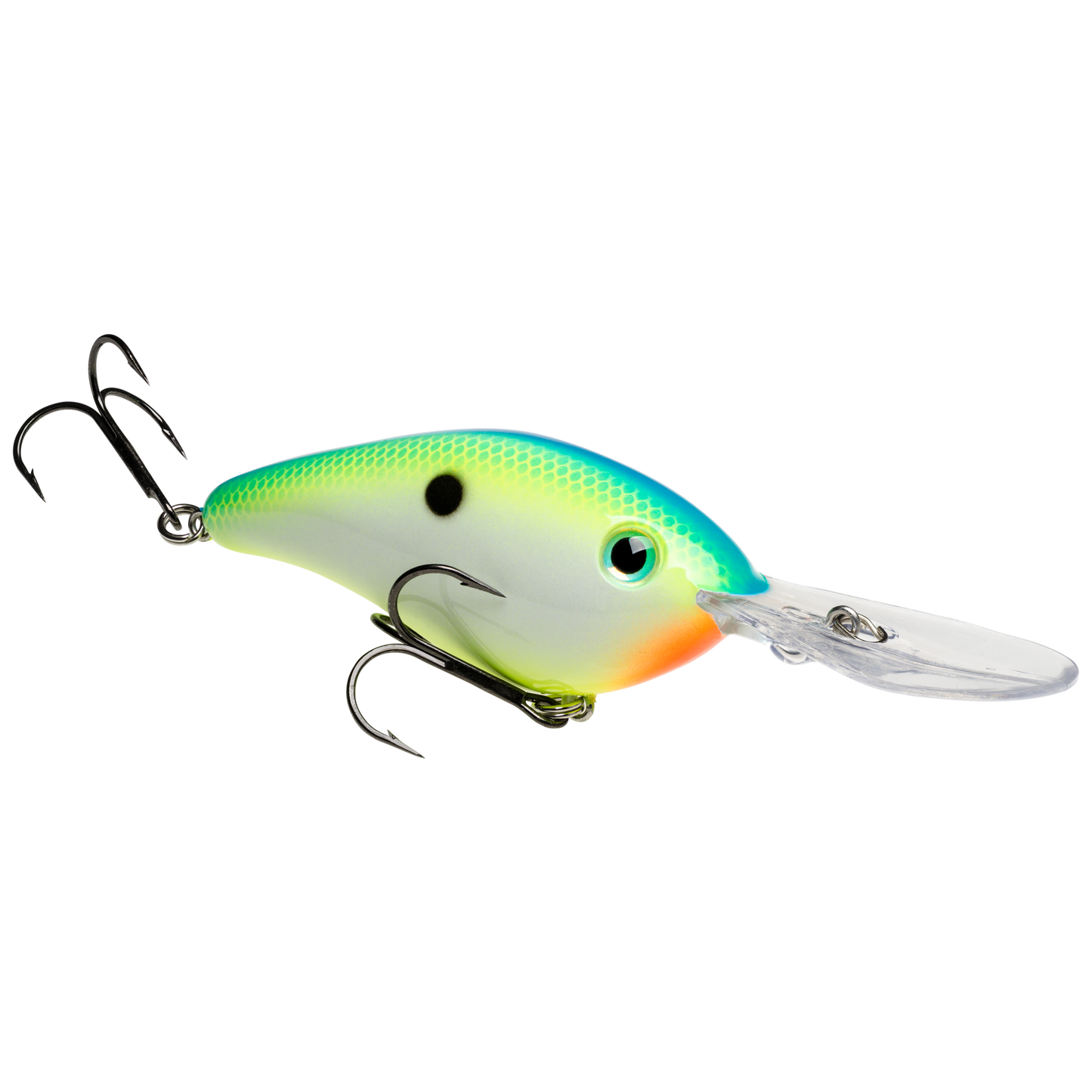Citrus Shad