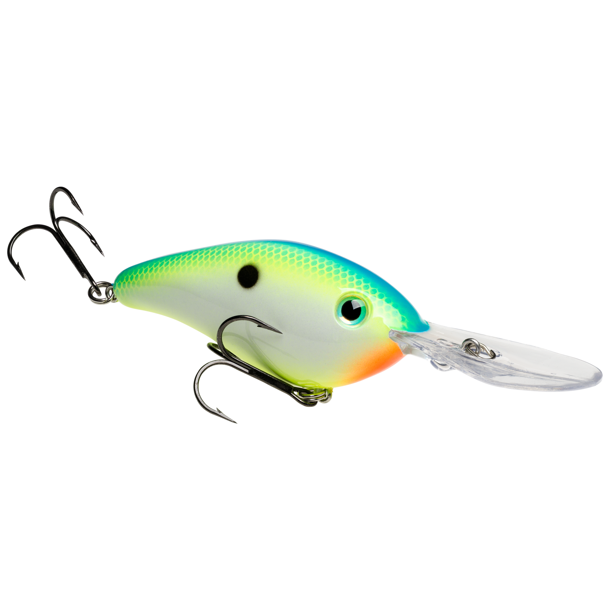 Citrus Shad