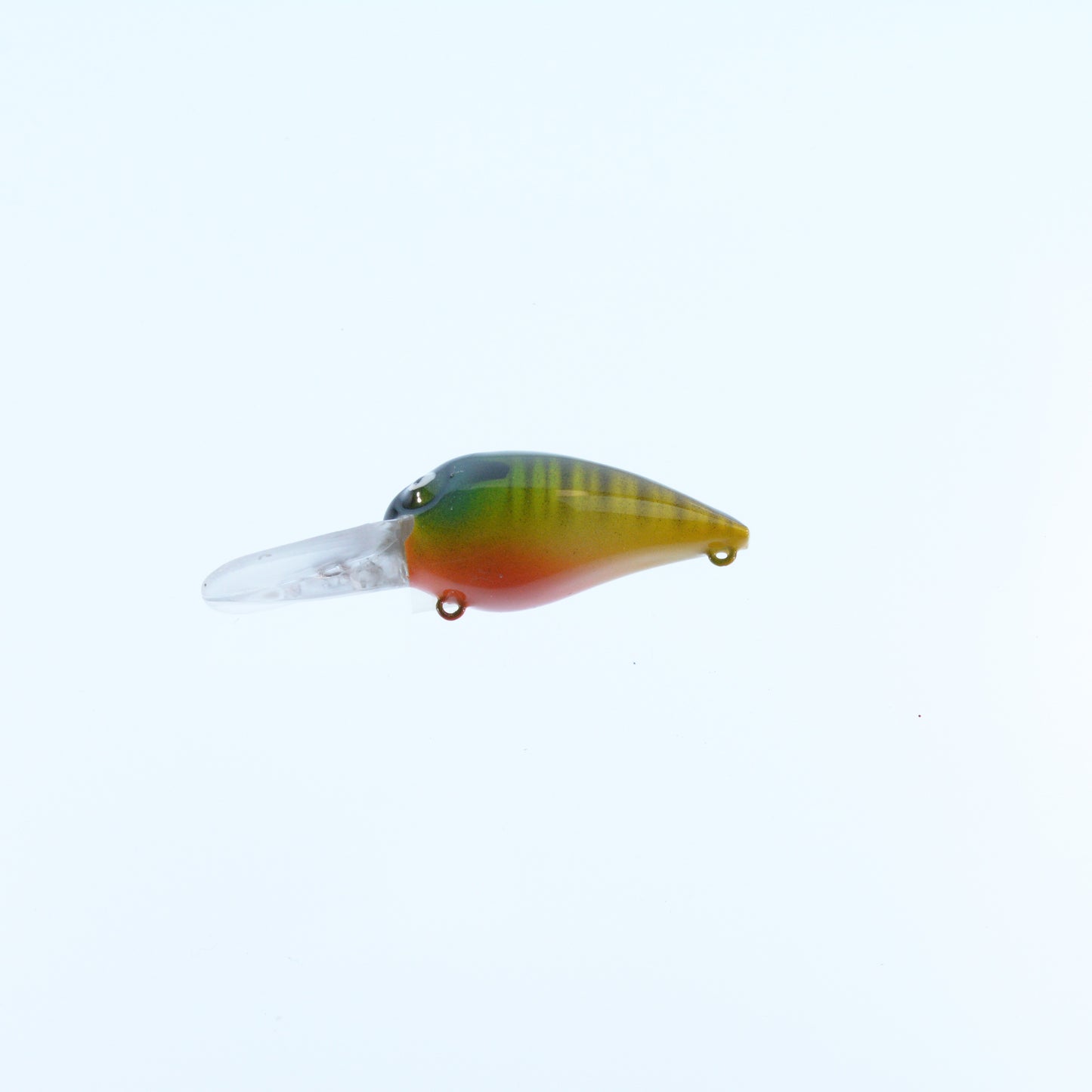 Bluegill