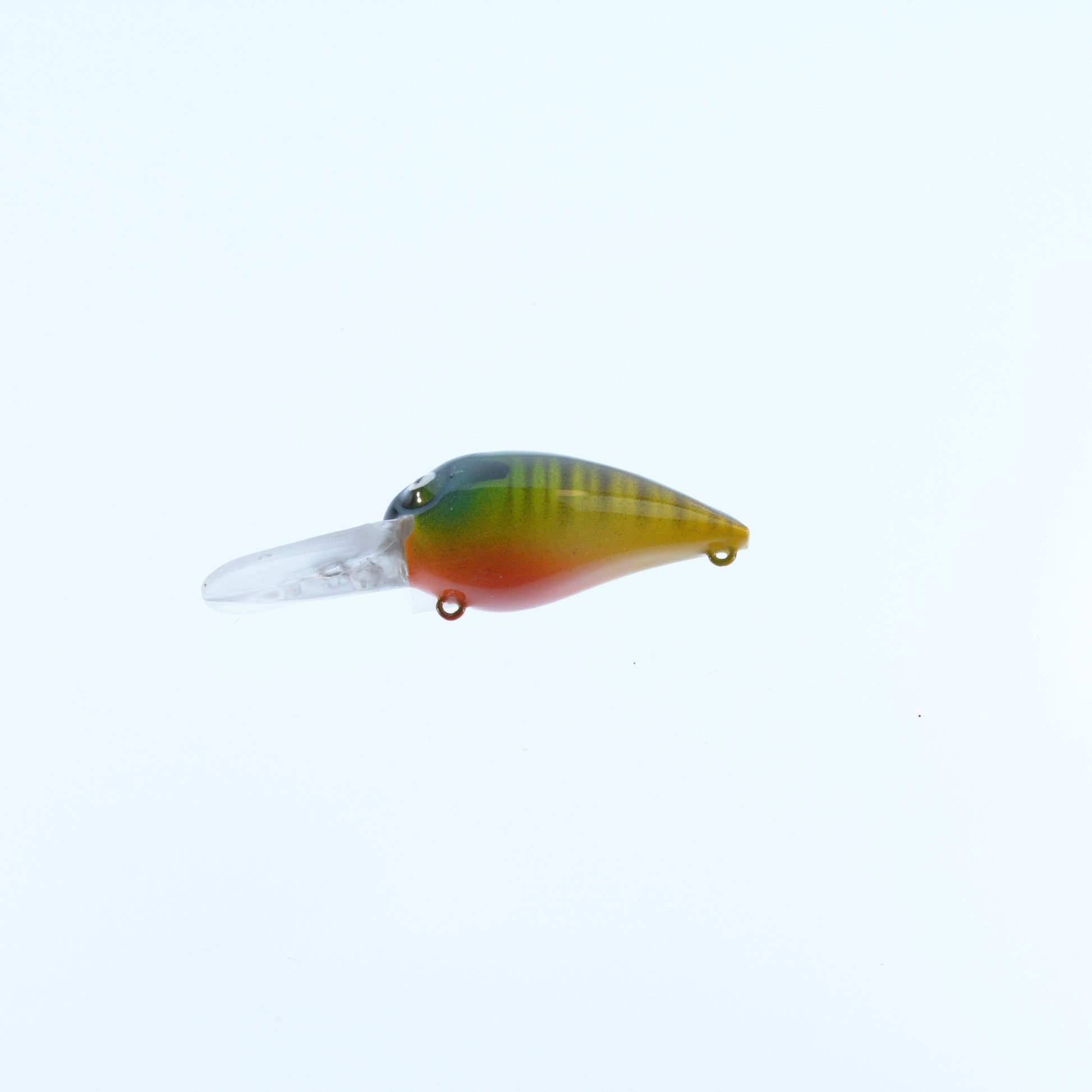 Bluegill