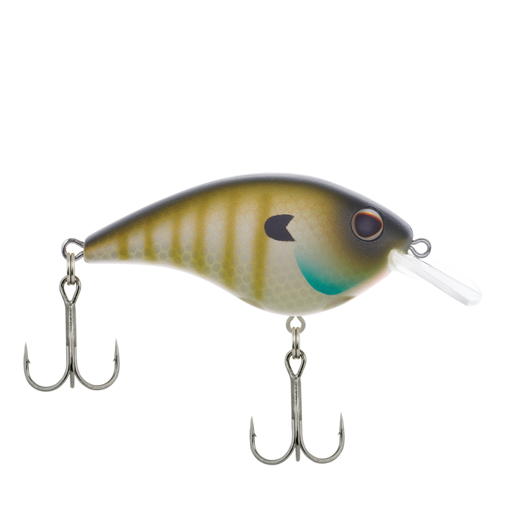MF Bluegill