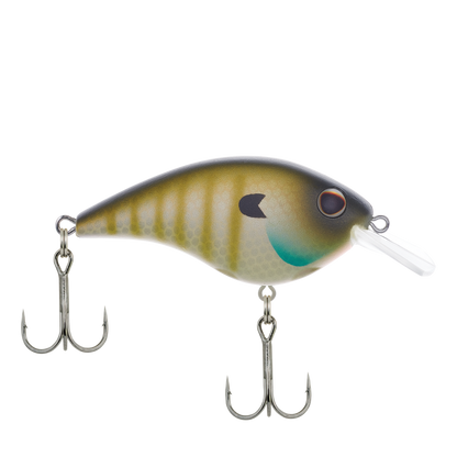 MF Bluegill
