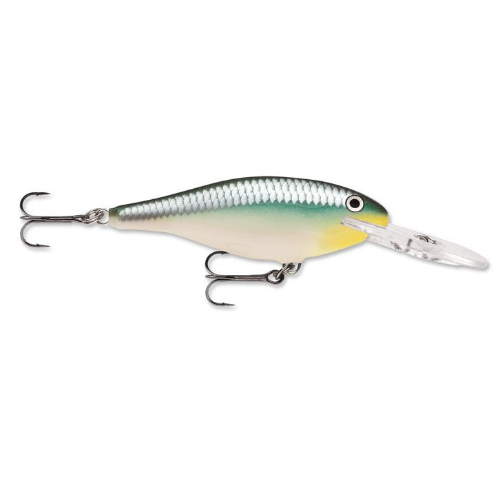 Blue Back Herring