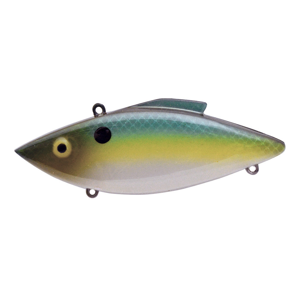 Summer Sexy Shad