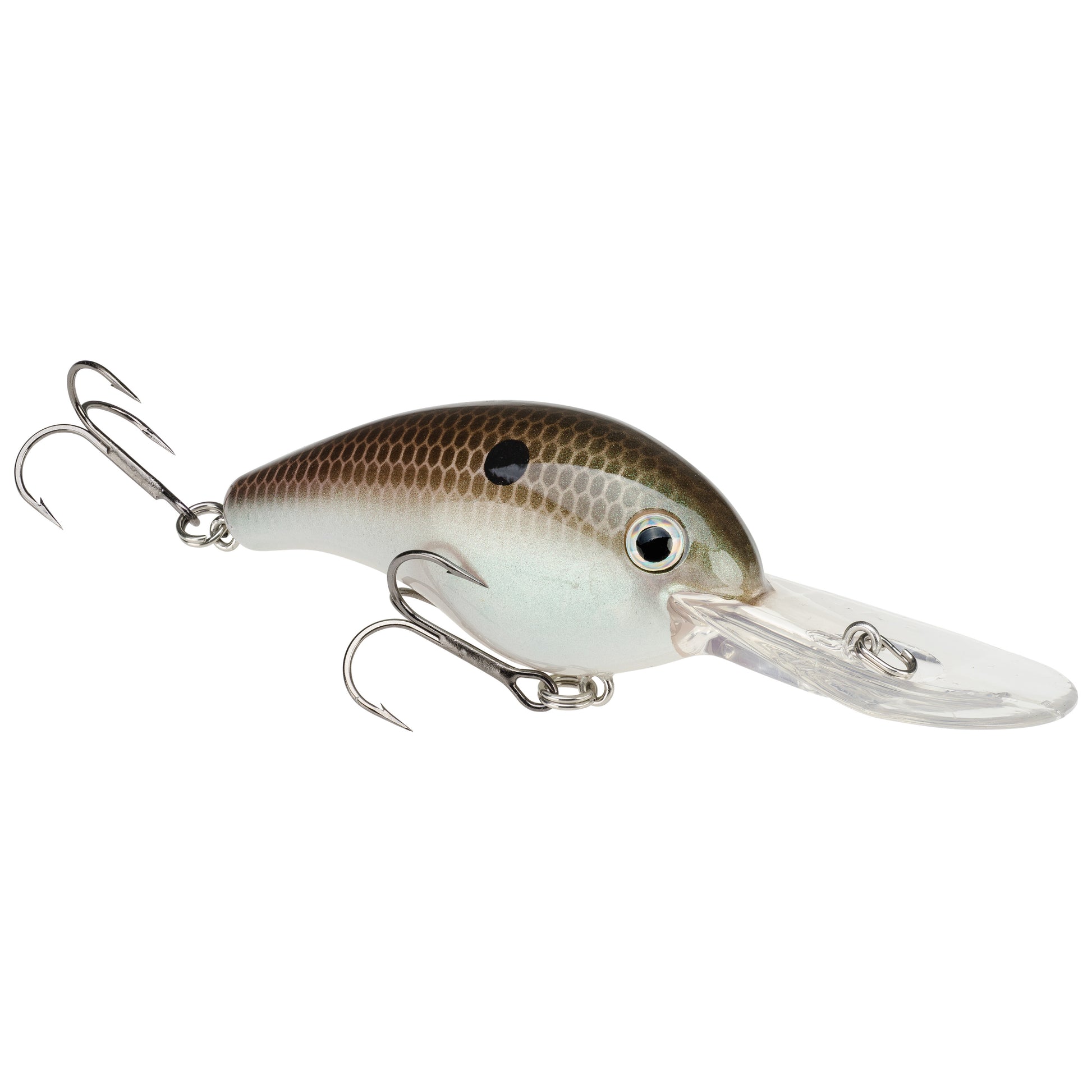 Green Gizzard Shad