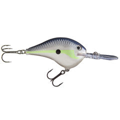 Helsinki Shad