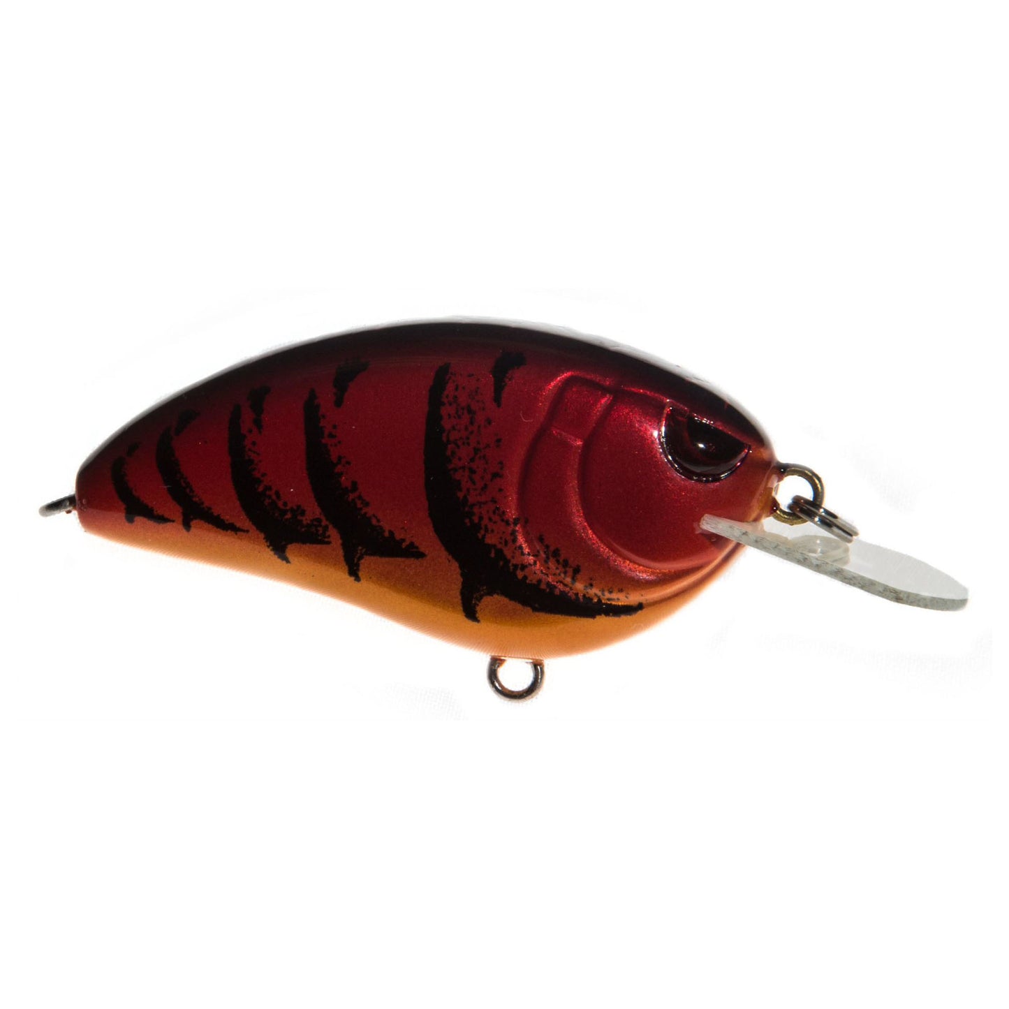 WESTERN CRAW