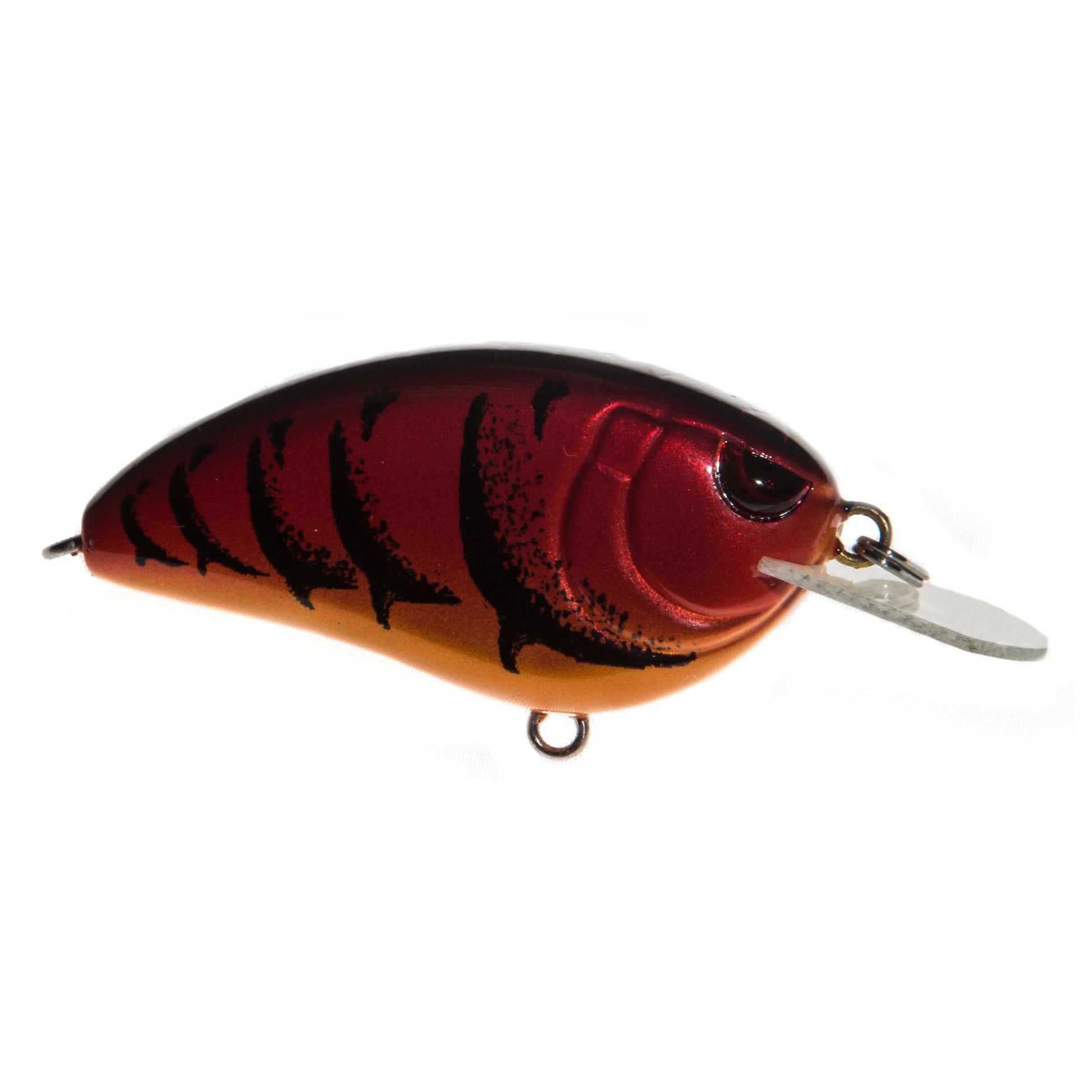 WESTERN CRAW
