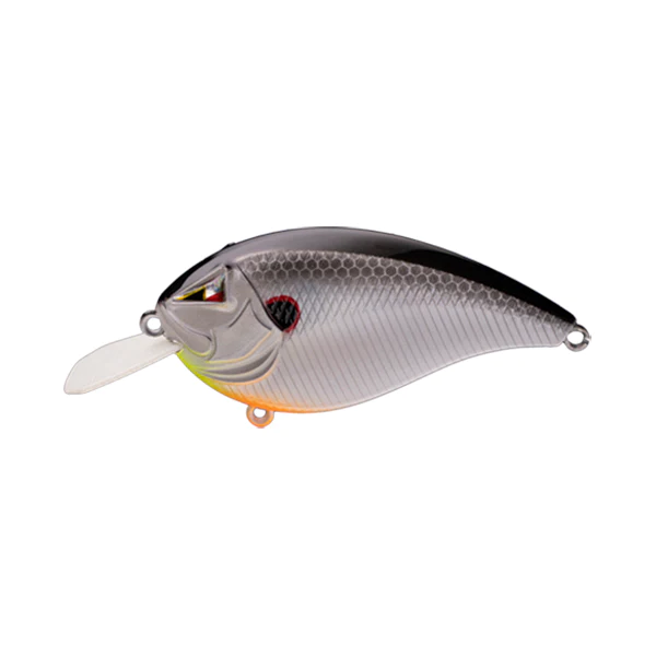 Schooling Bait