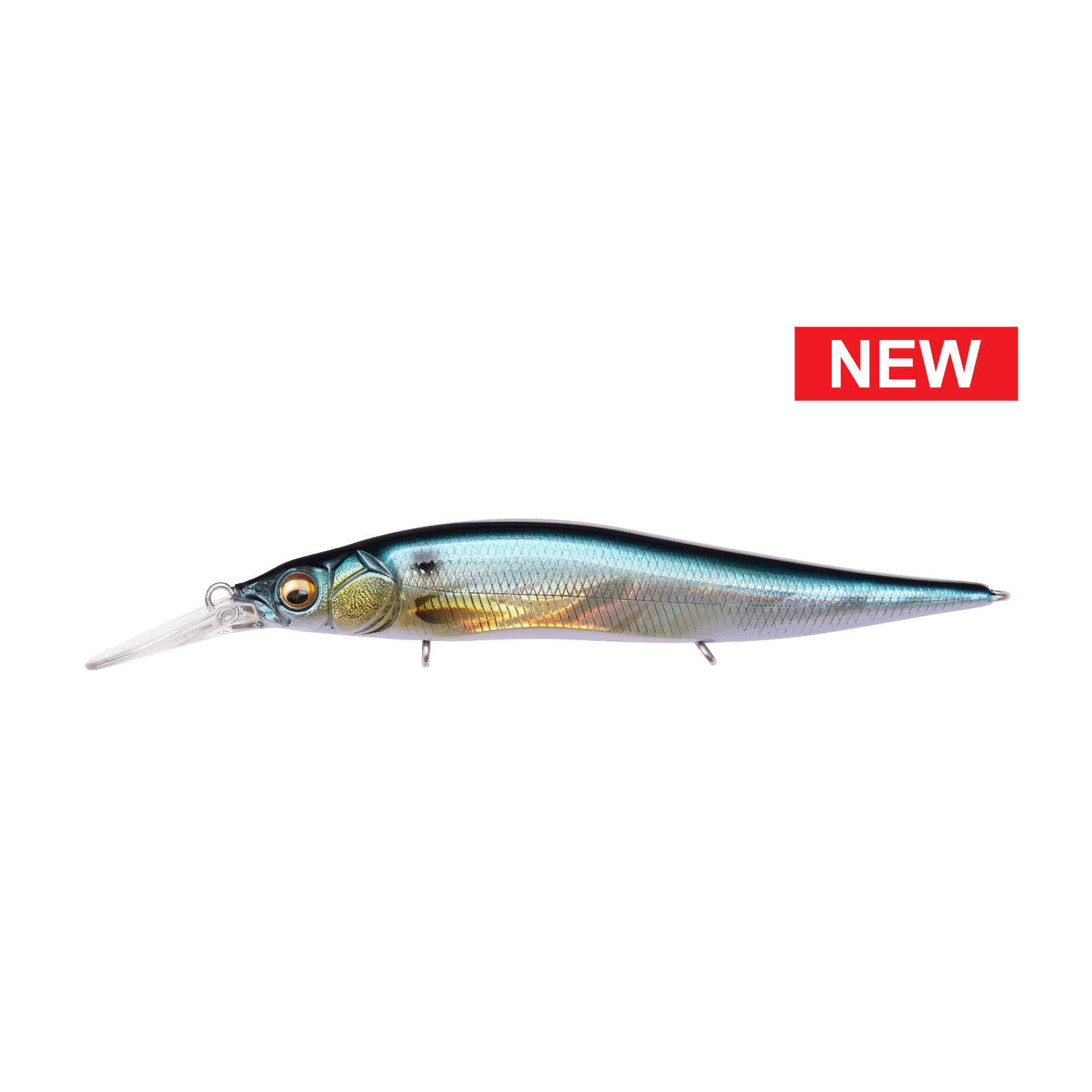 GG Threadfin Shad