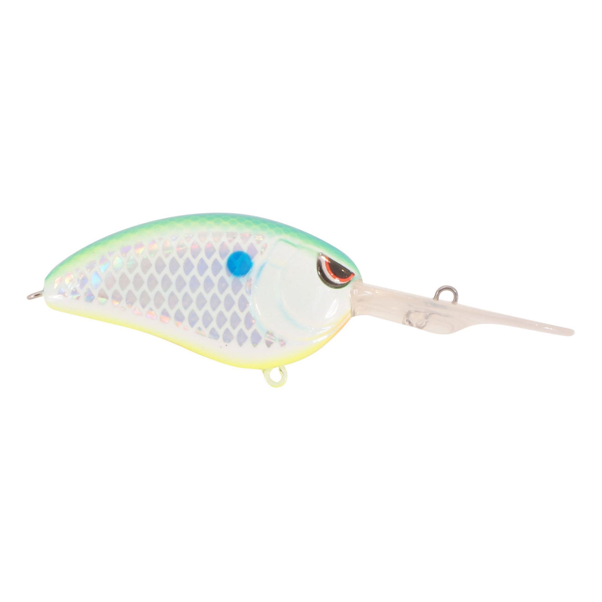 CITRUS SHAD