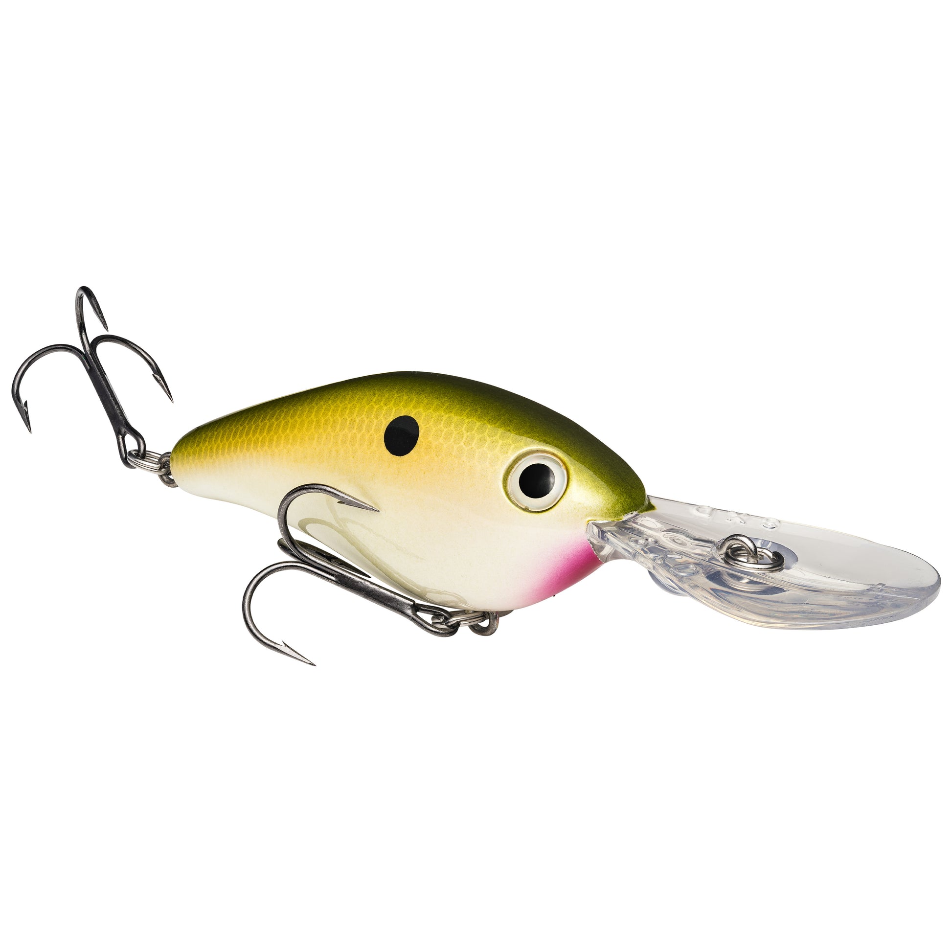TN Shad