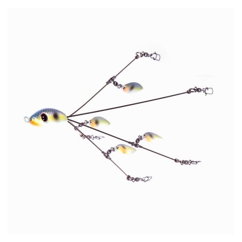 Sexy Shad