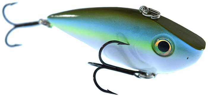 Sexy Green Shad