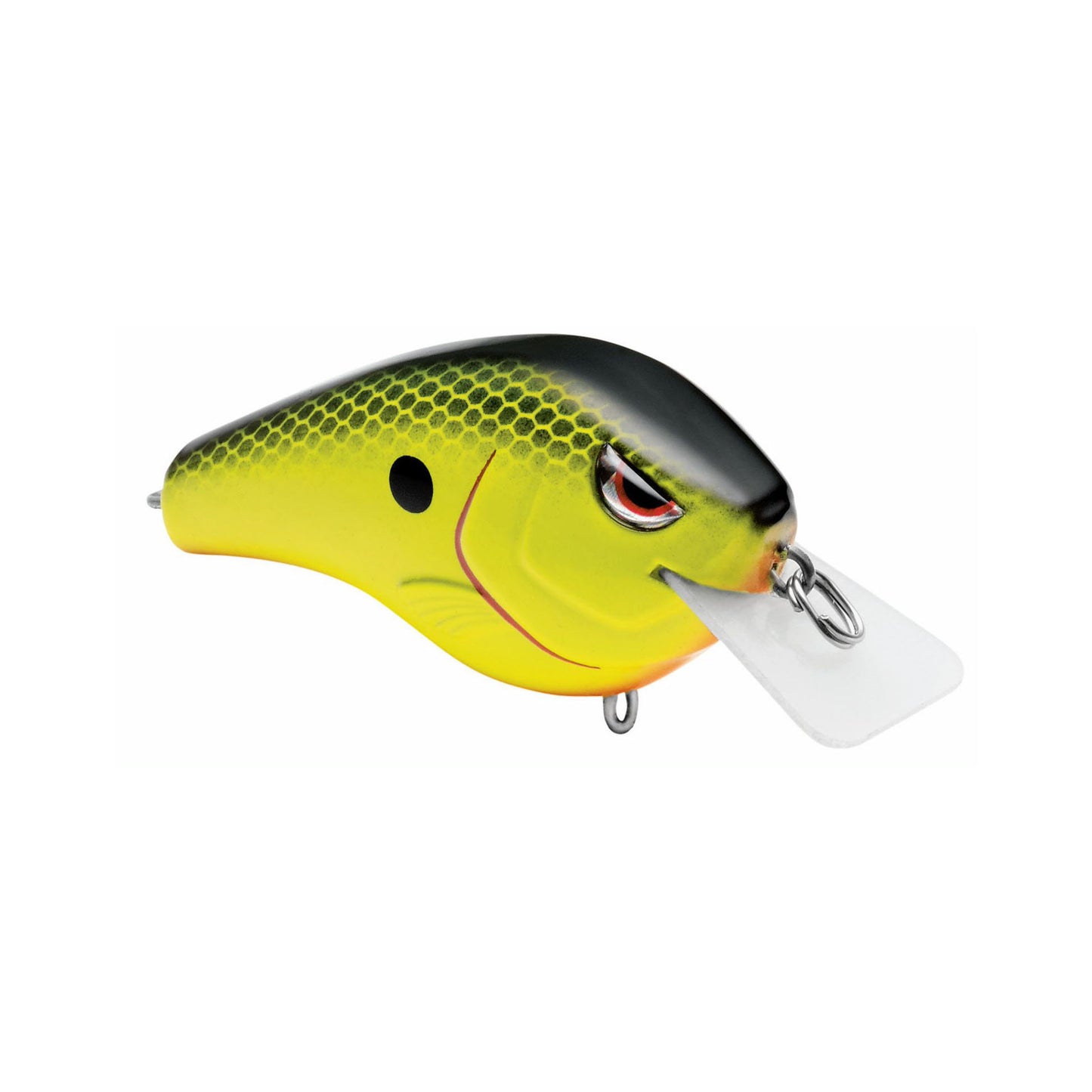 Chartreuse Black Back