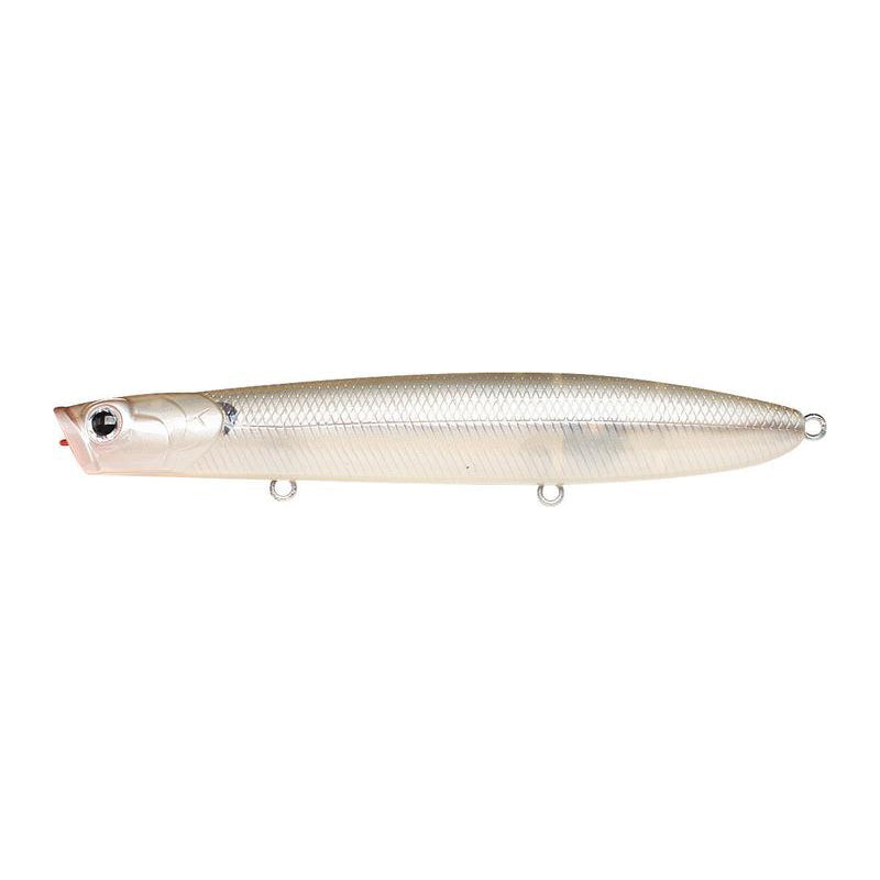 Striped Shad