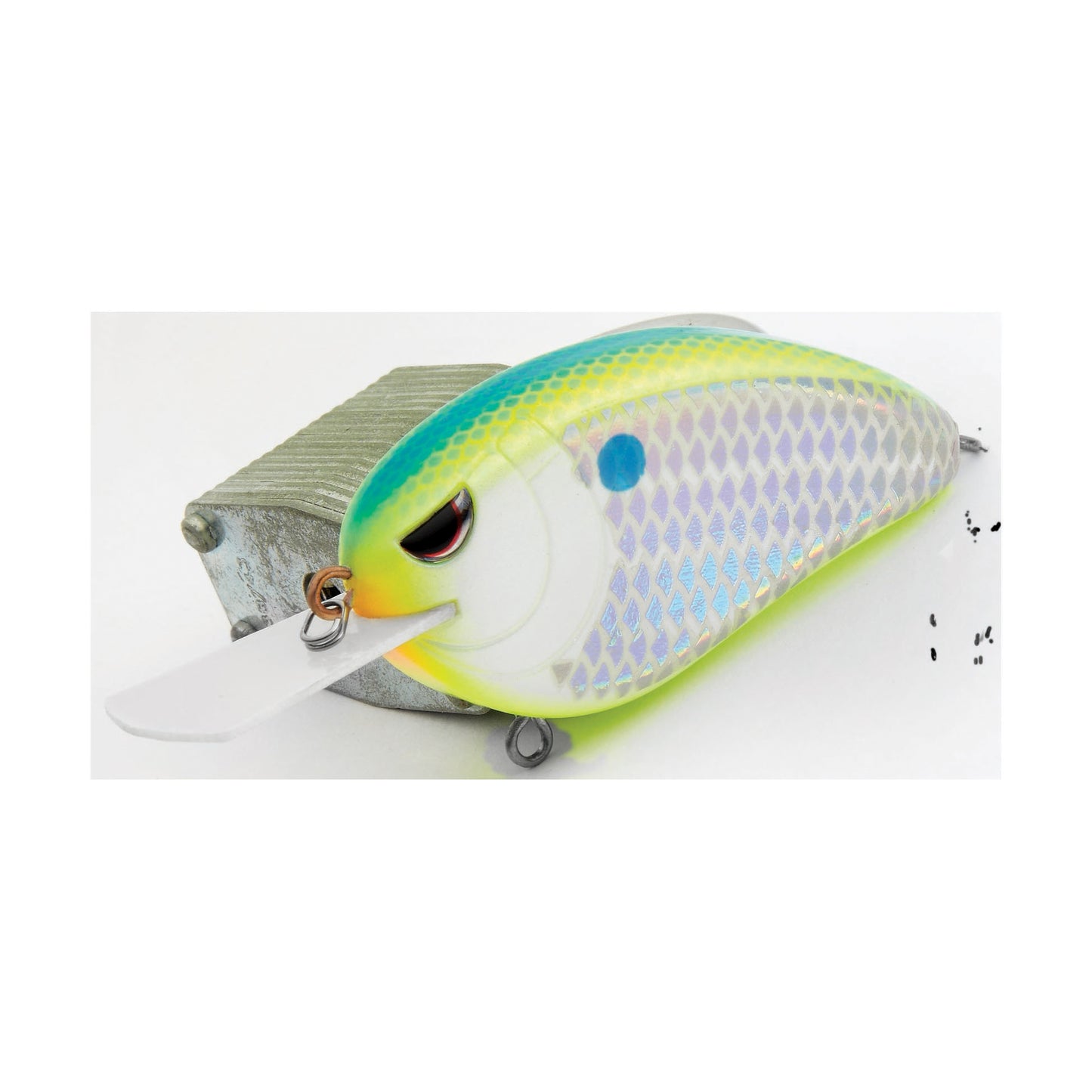 Citrus Shad