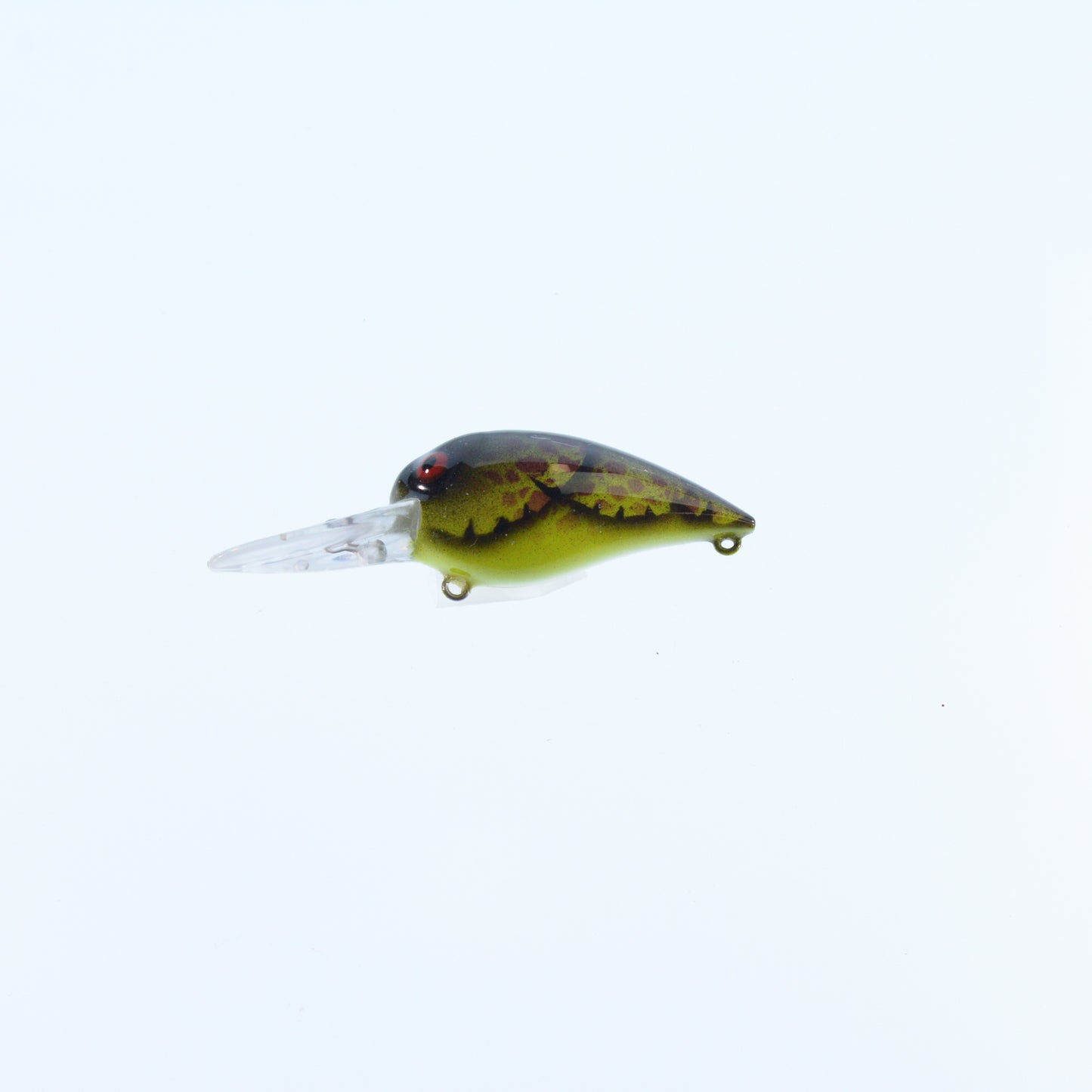 Brown Chartreuse/ Orange Spot/ Chartreuse Belly