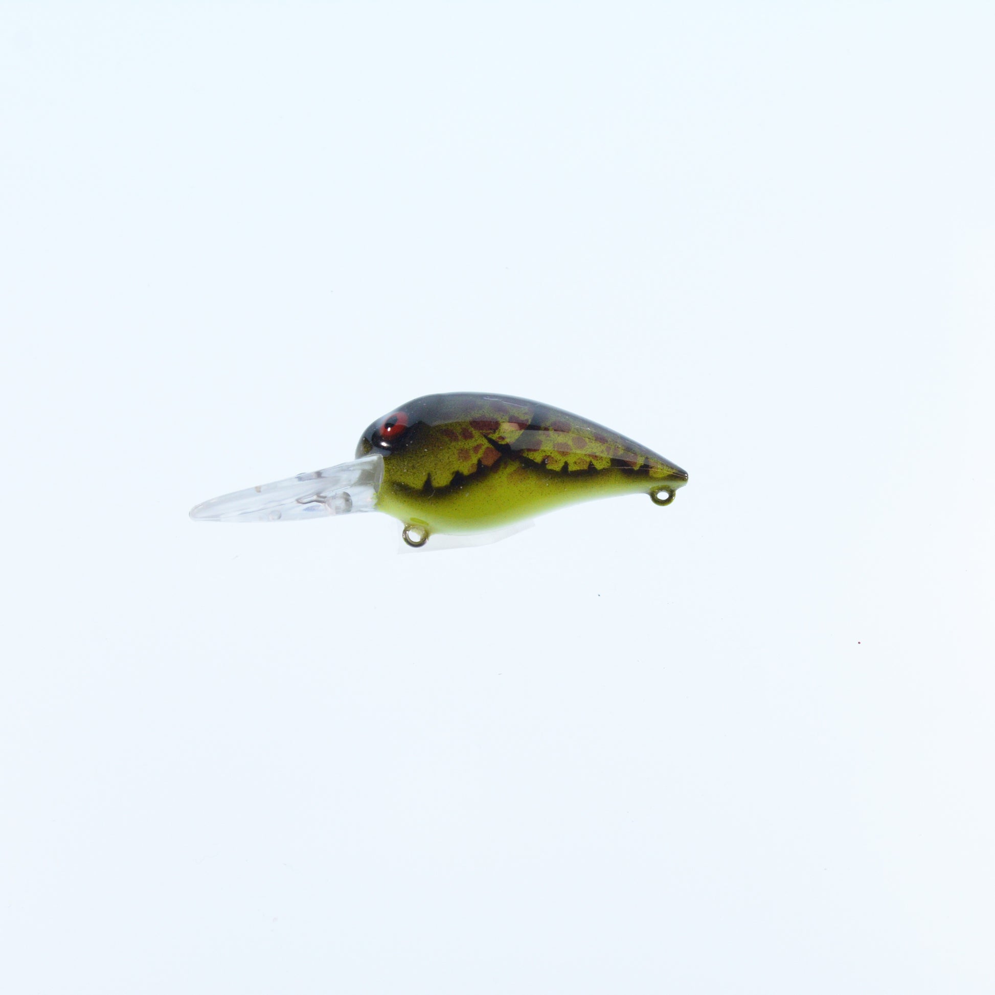 Brown Chartreuse/ Orange Spot/ Chartreuse Belly