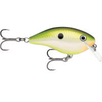 Bruised Citrus Shad