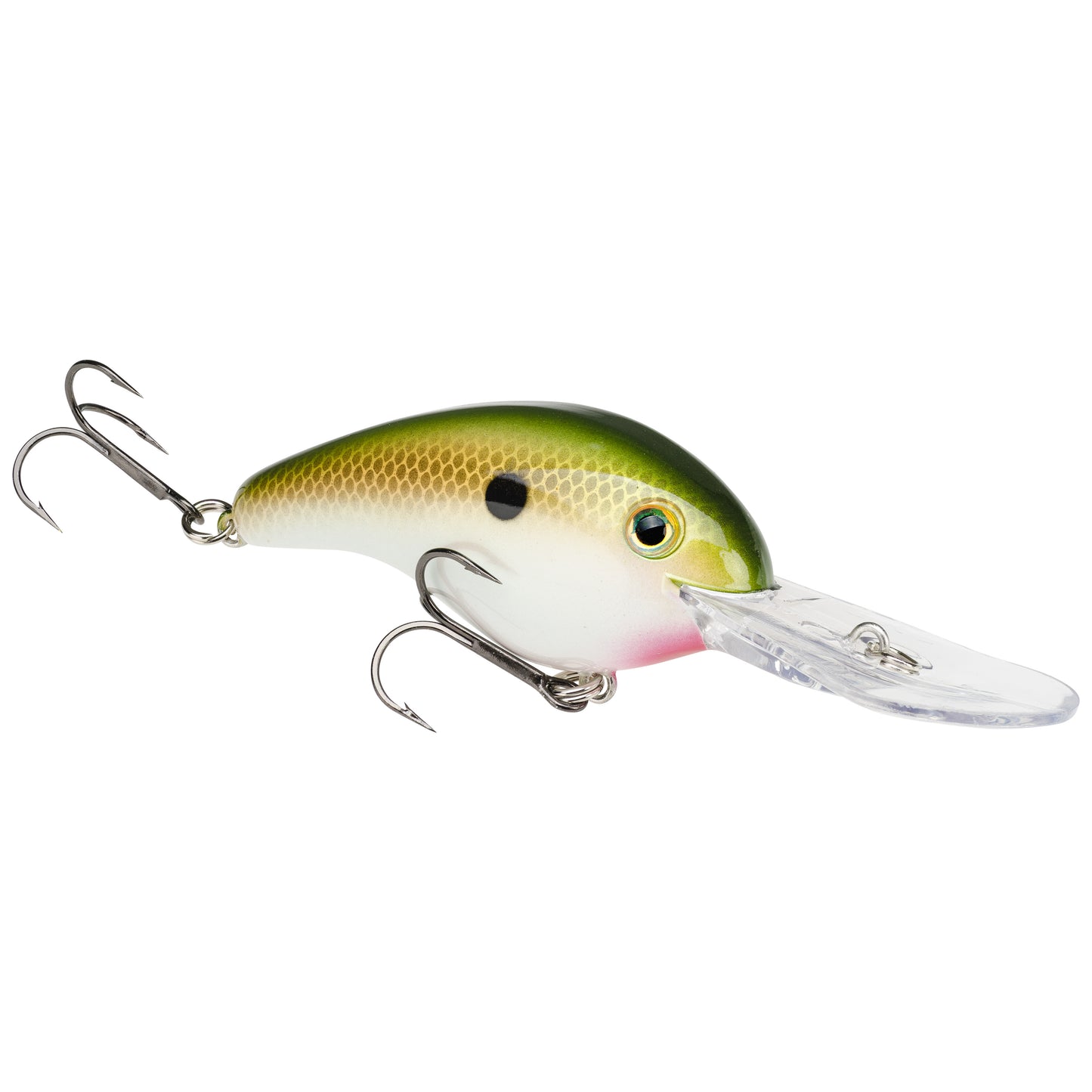 TN Shad