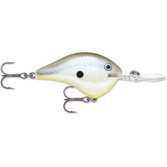 Disco Shad