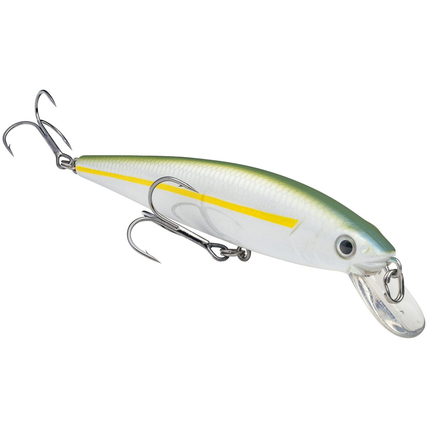Sexy Blue Back Herring