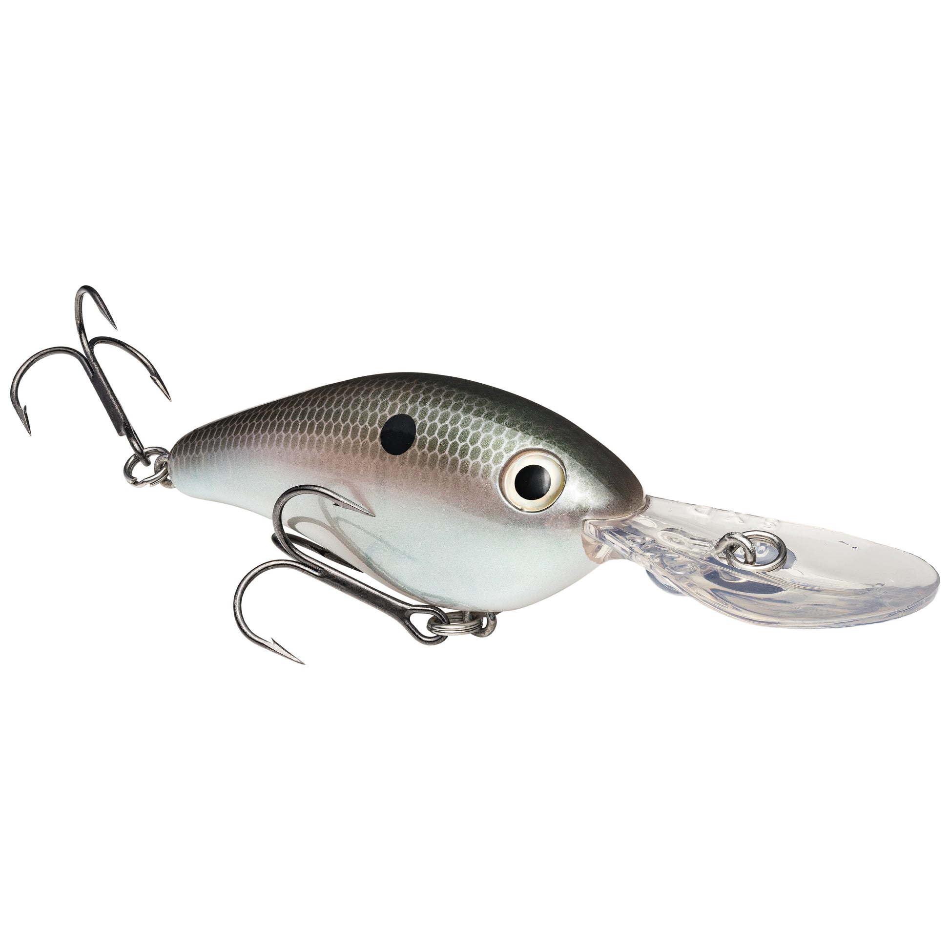 Green Gizzard Shad
