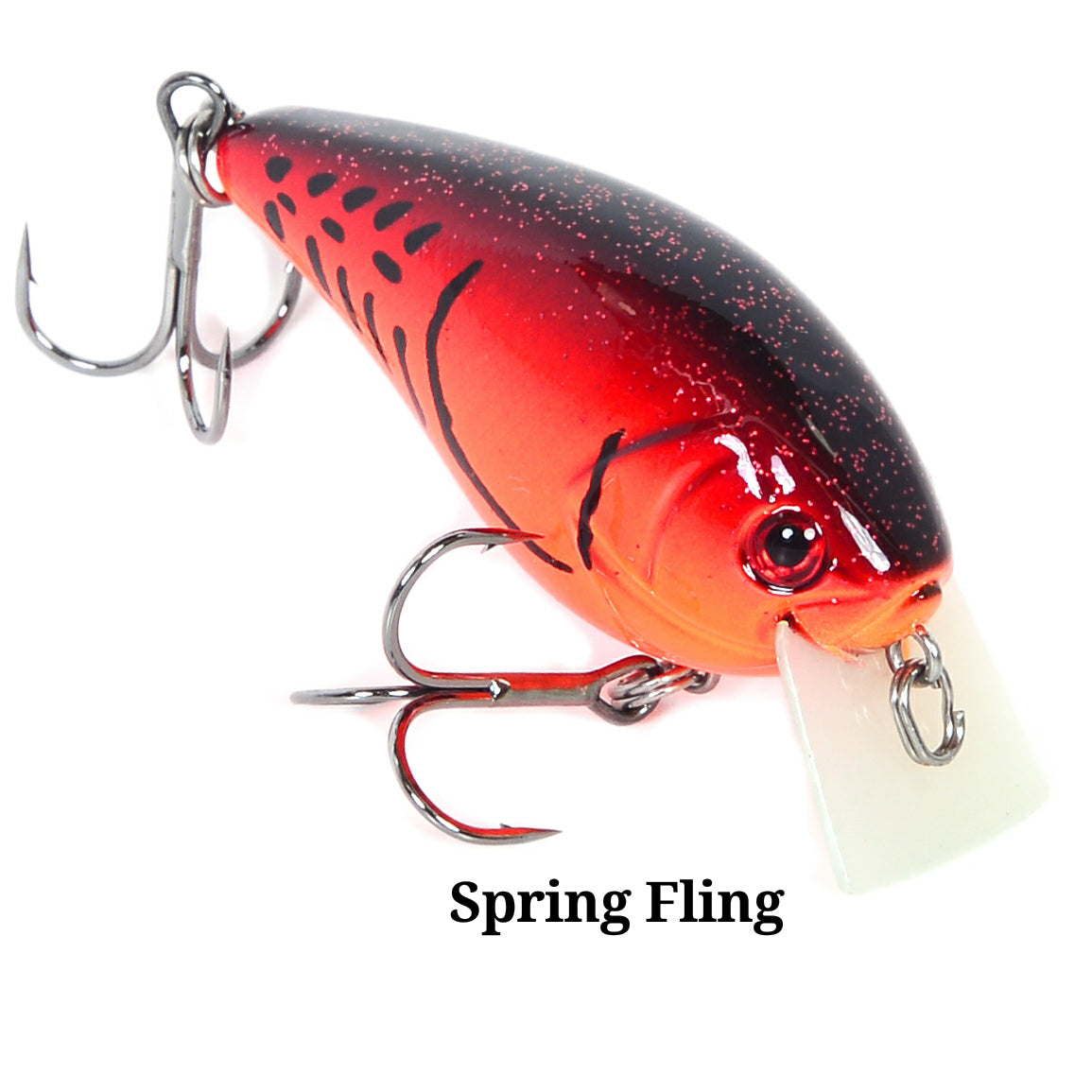 Spring Fling