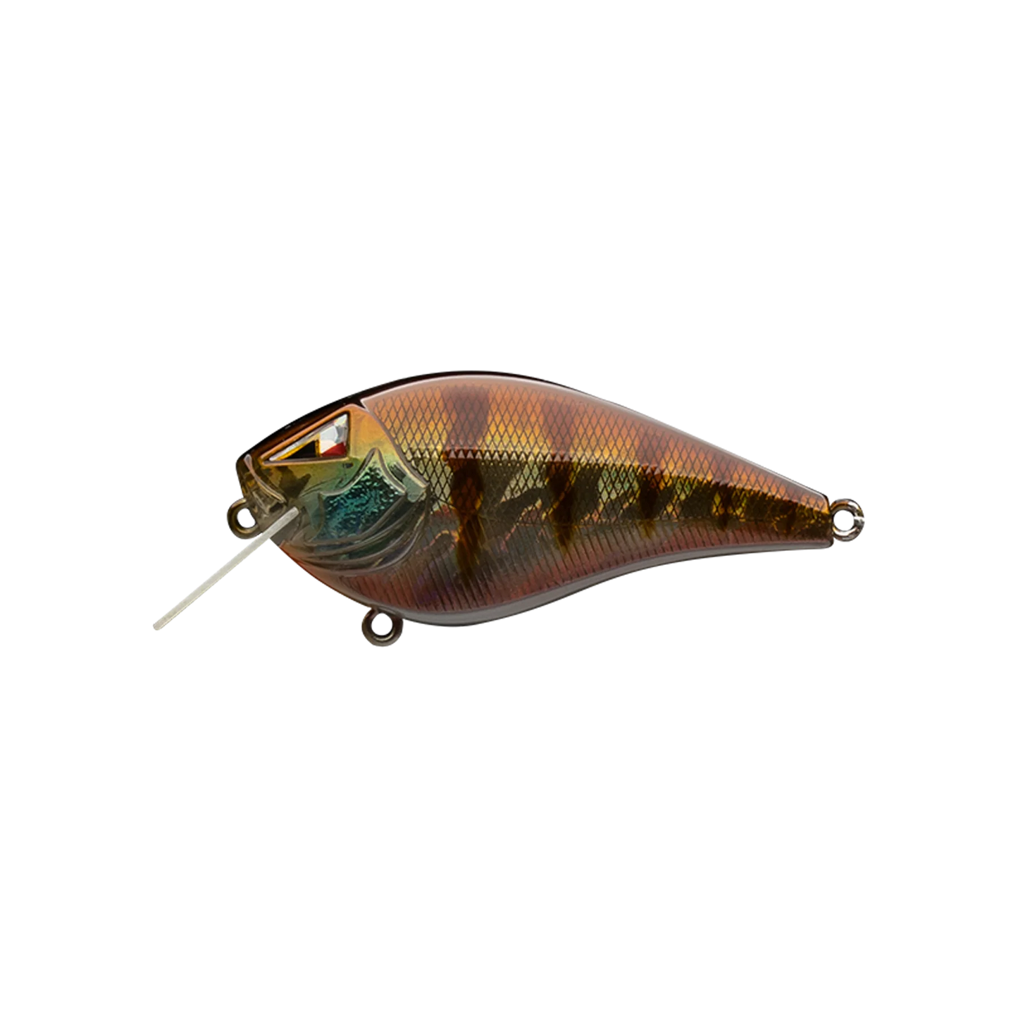 Blue Gill
