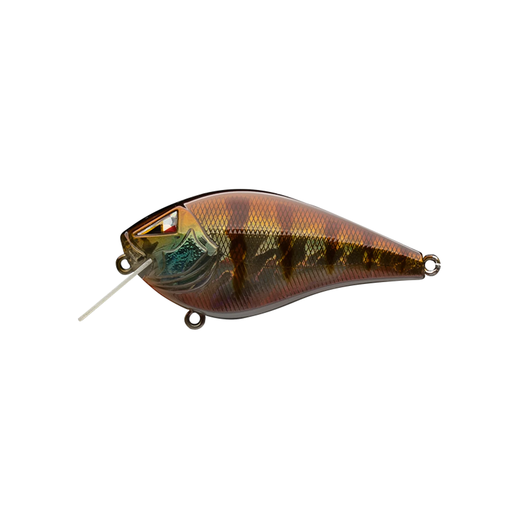 Blue Gill