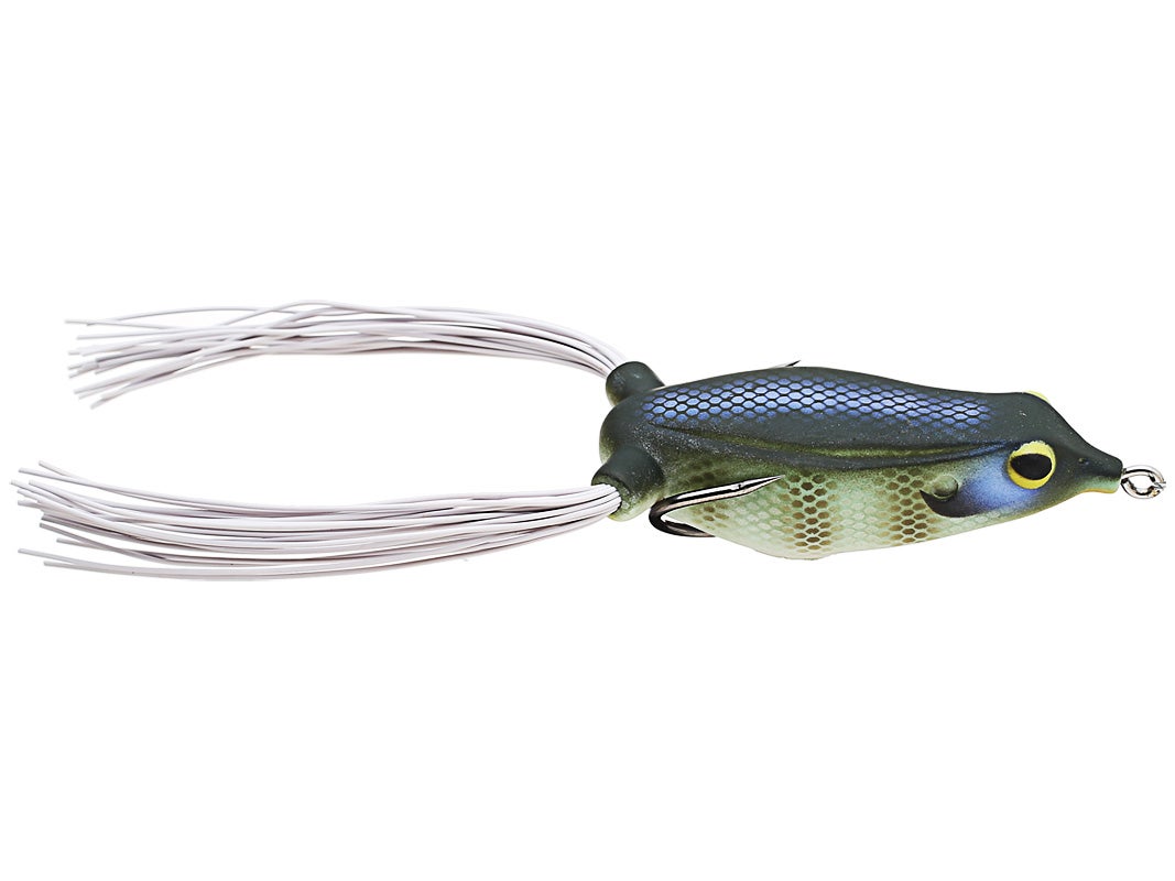 Bluegill