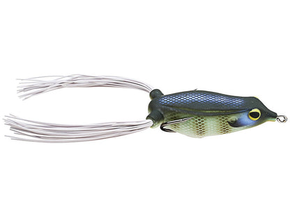 Bluegill