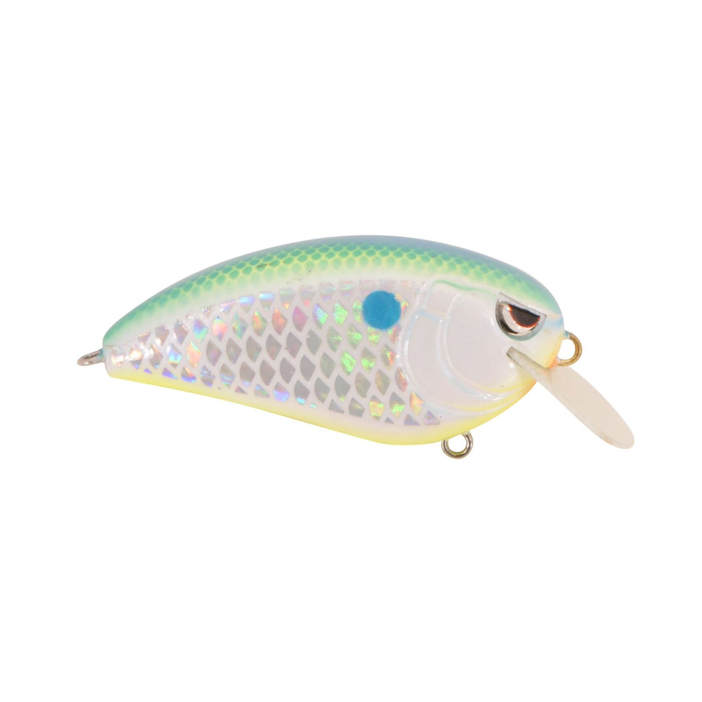 CITRUS SHAD