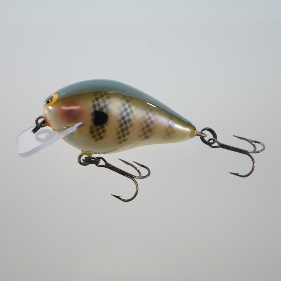 Bluegill
