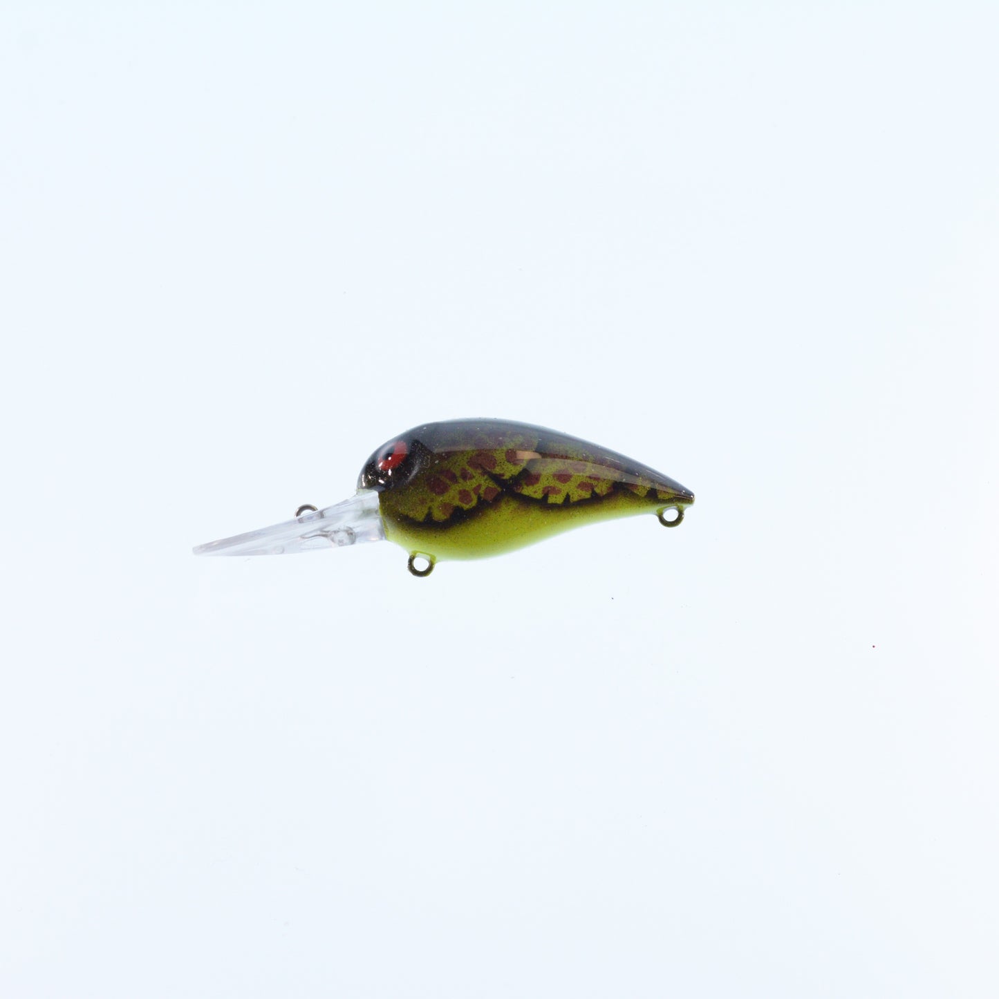 Chartreuse/ Red Spot Back/ Chartreuse Belly