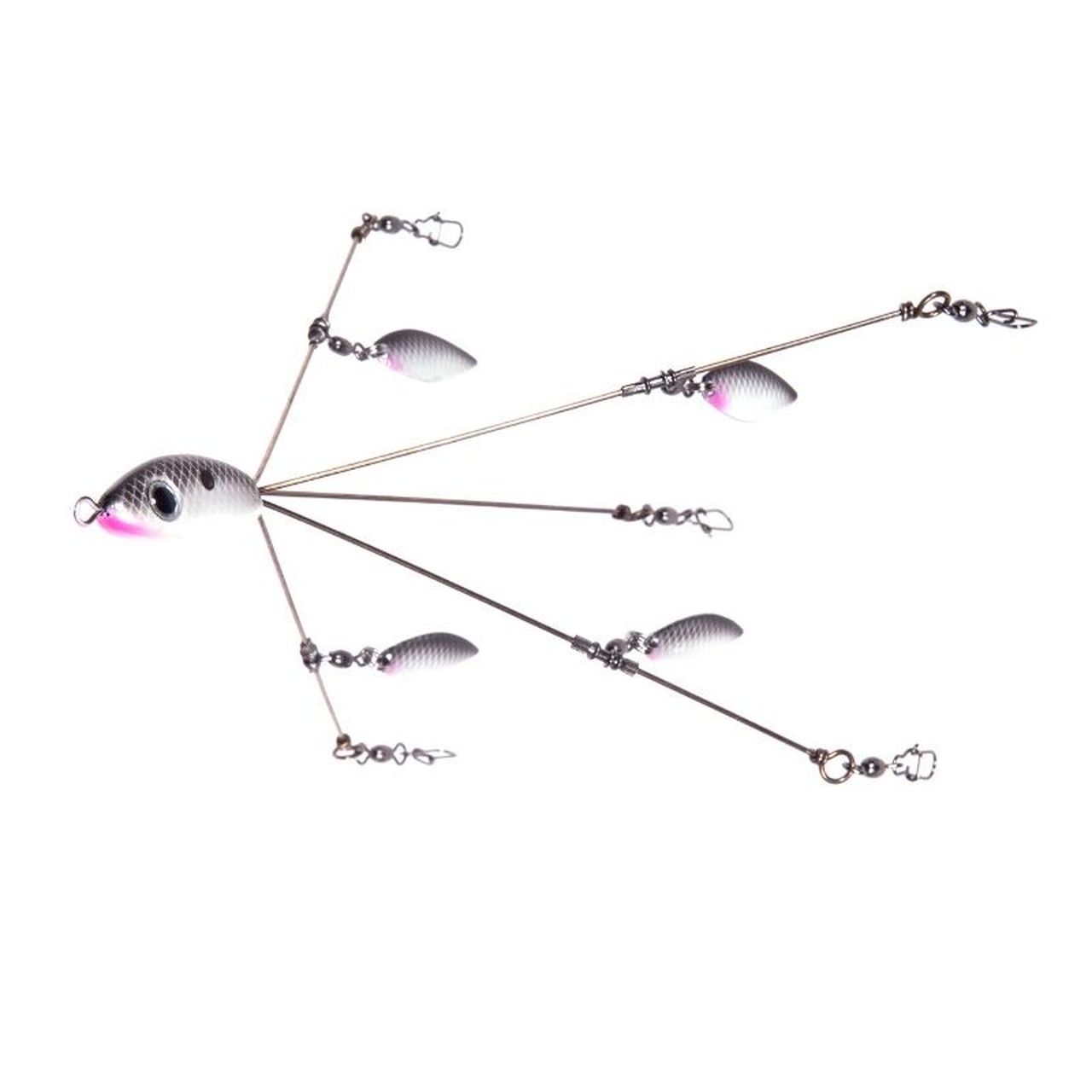 Tennessee Shad Painted Blades