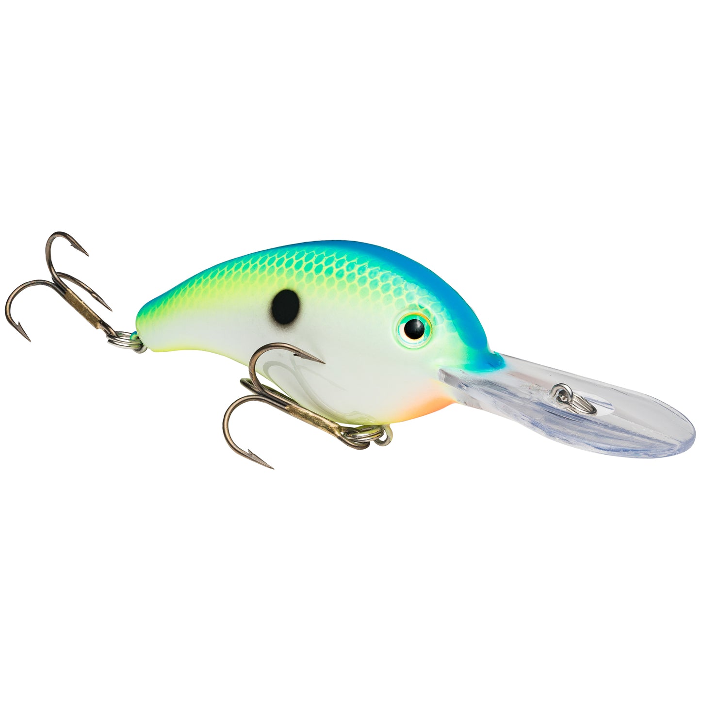 Citrus Shad