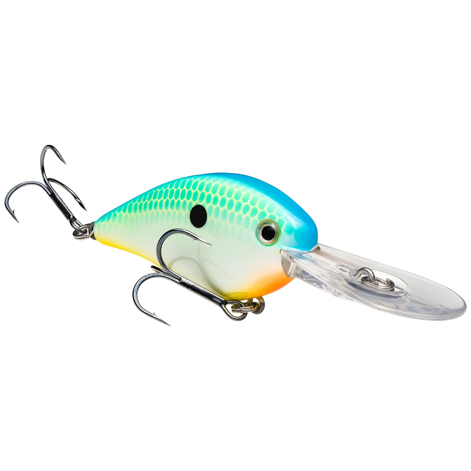 Citrus Shad