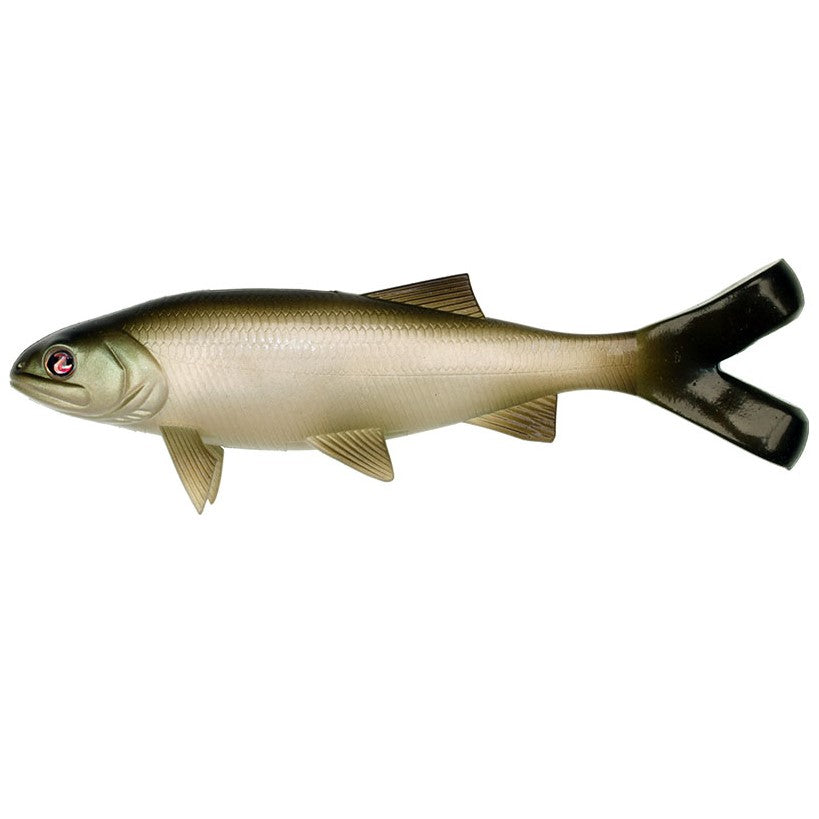 Green Shad