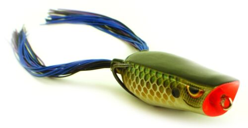 Killer Gill