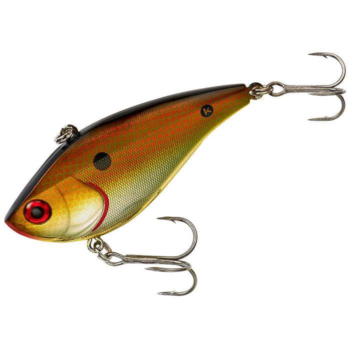 Copper Shiner