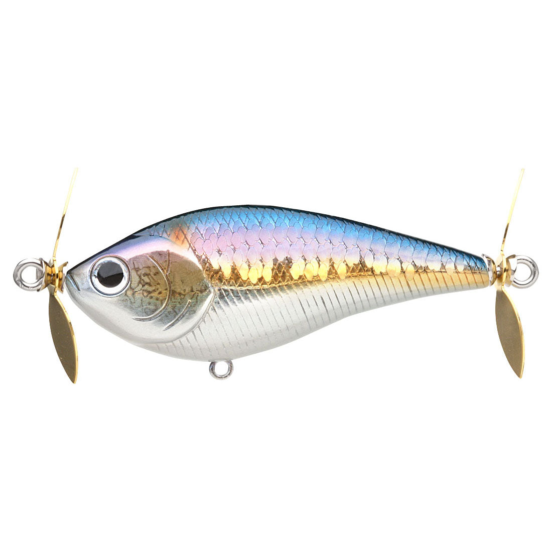 MS American Shad