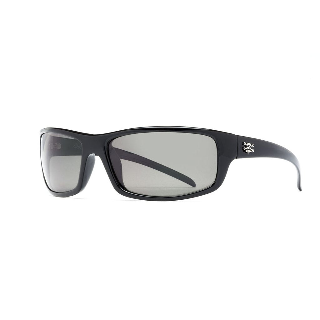 Black Frame/ Polarized Gray Lens