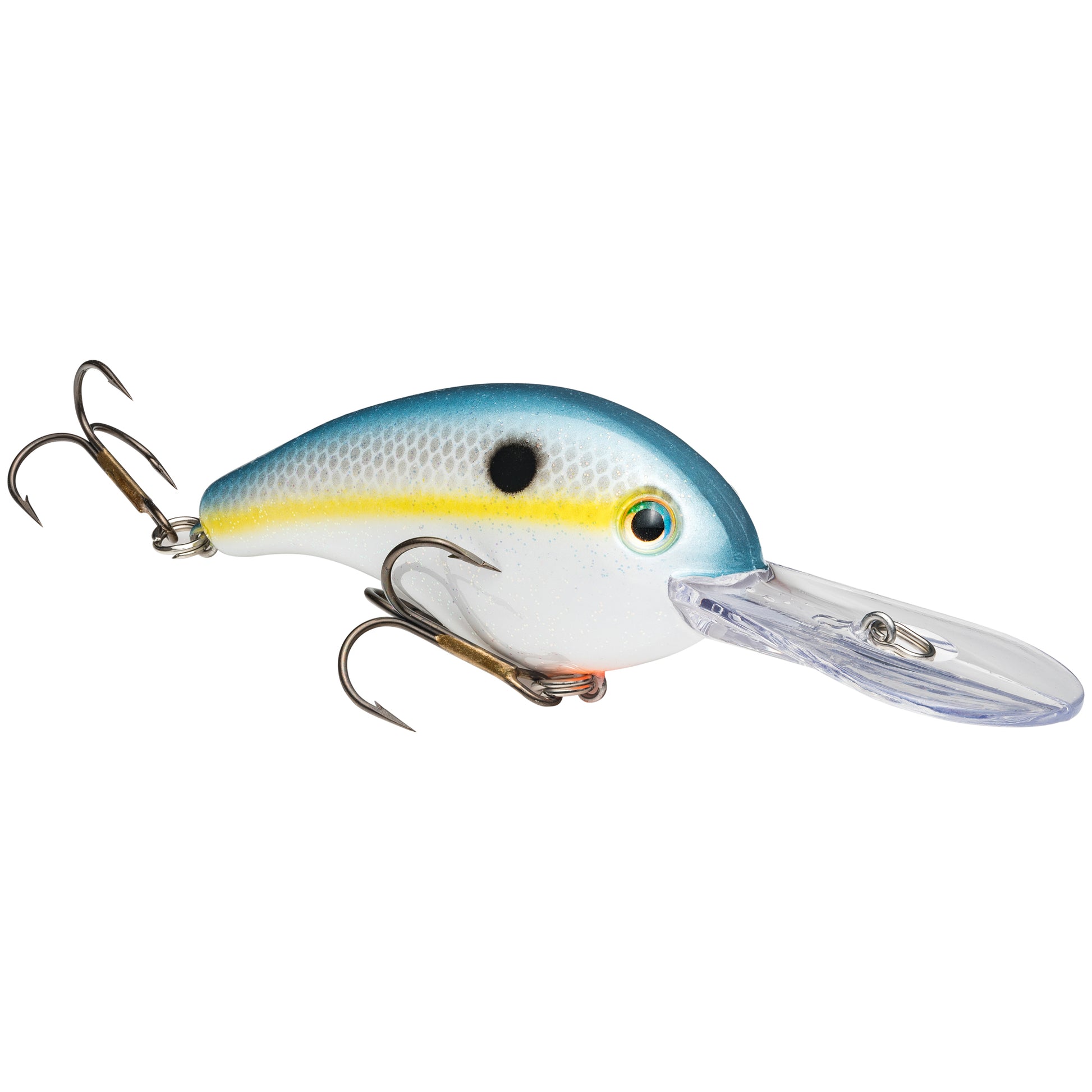Sexy Shad