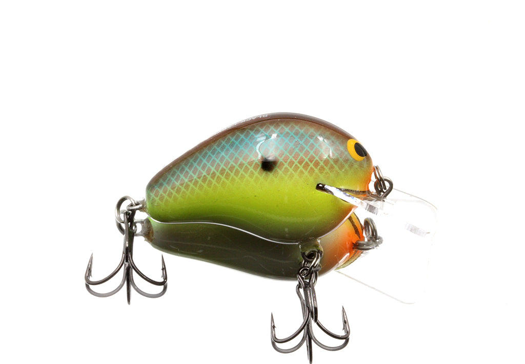 River Bream