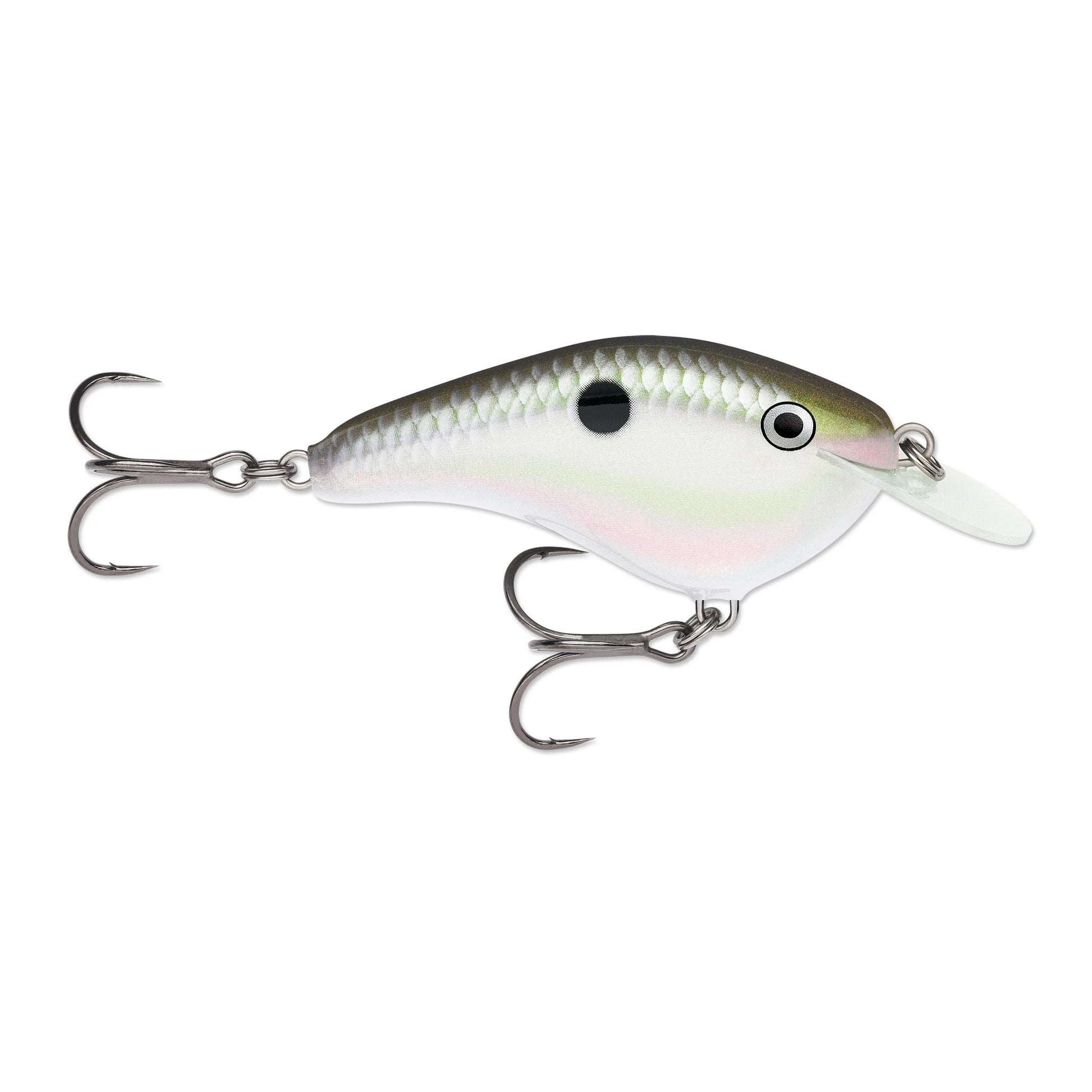 Green Gizzard Shad